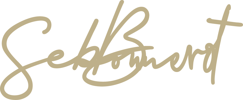 sig_v2aSebBonnerot